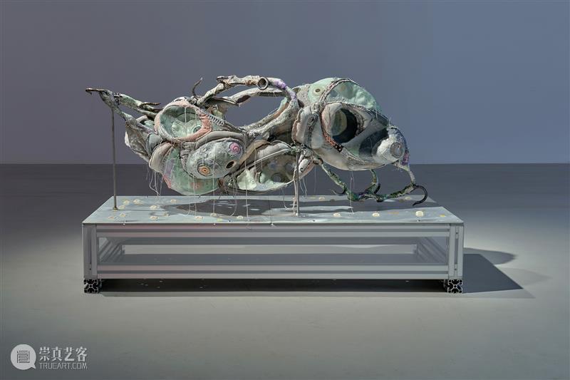 新展预告|化身Incarnation 博文精选 松美术馆 Incarnation 新展 策展人 马豪 艺术家 陈若璠 王文婷 王一 王玉钰 夏乔伊 崇真艺客